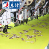 High Speed Computerized Embroidery Machine, Flat/Coiling/Taping Mixed Embroidery Machine With Cheap Price
